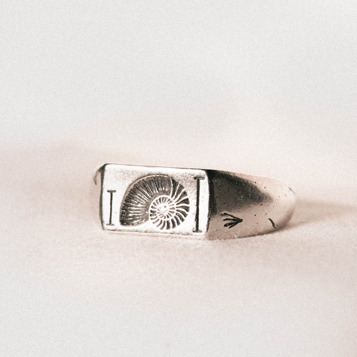 Fibonacci Ring